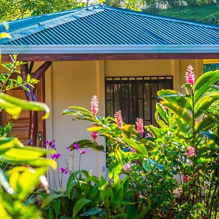 Rio Celeste Springs Blue Lodge Bijagua Exterior photo