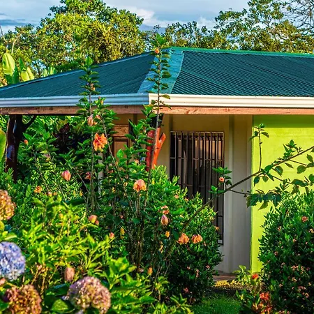 Rio Celeste Springs Blue Lodge Bijagua Exterior photo