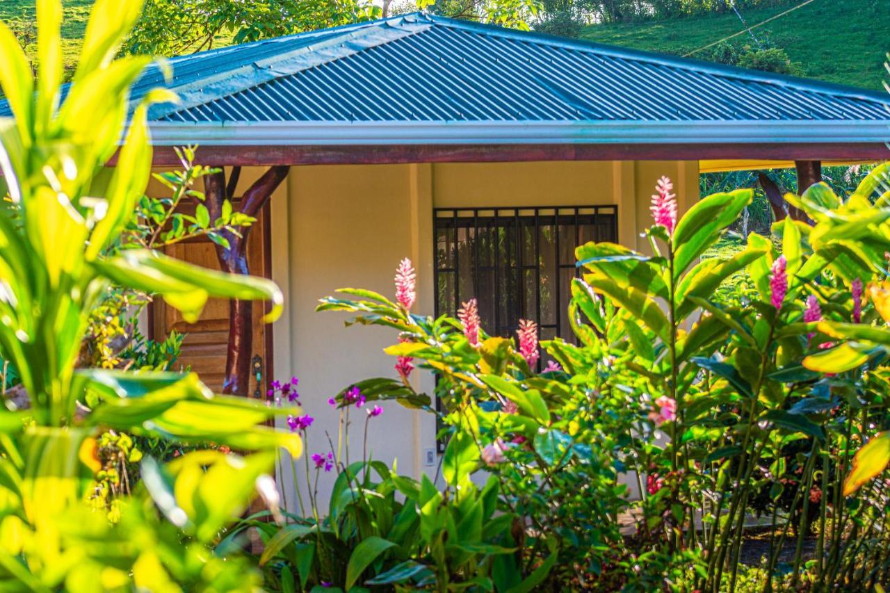 Rio Celeste Springs Blue Lodge Bijagua