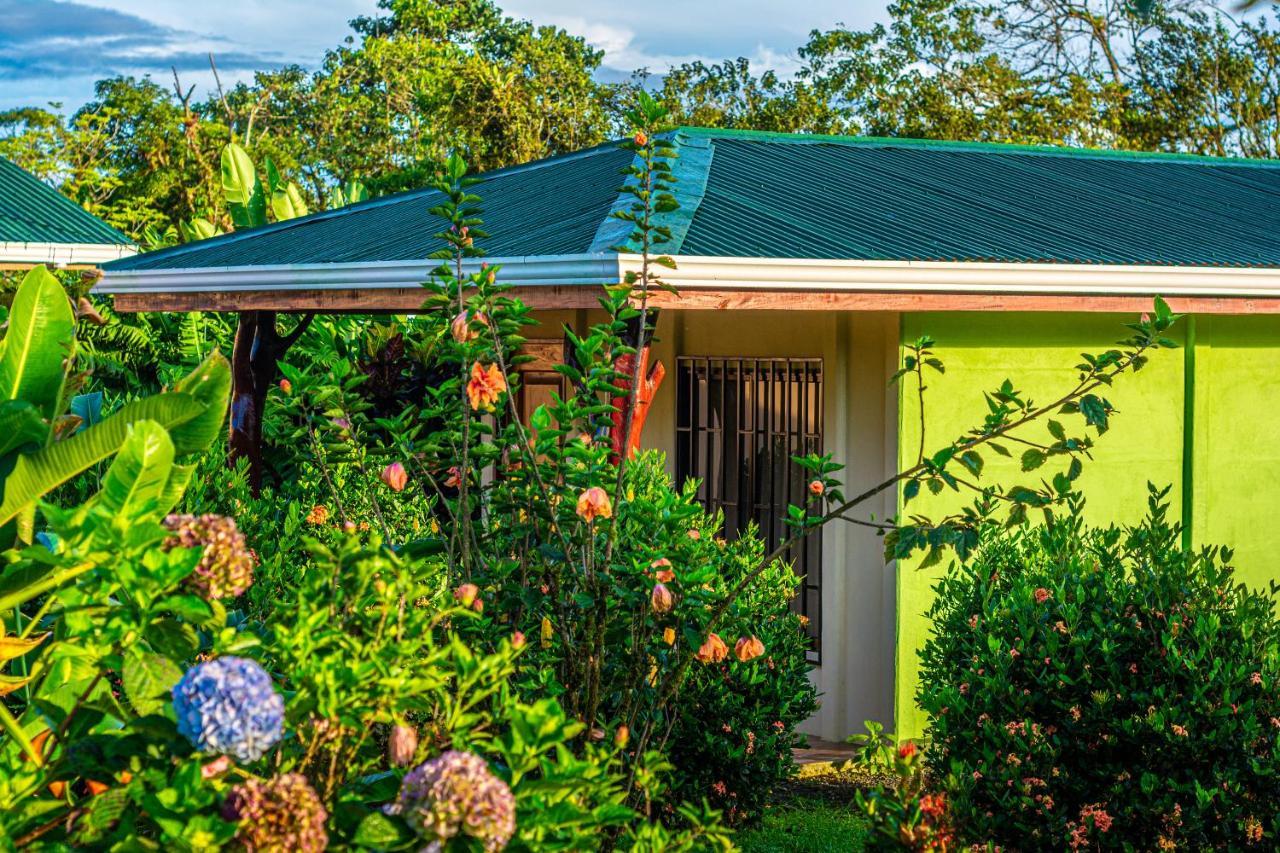 Rio Celeste Springs Blue