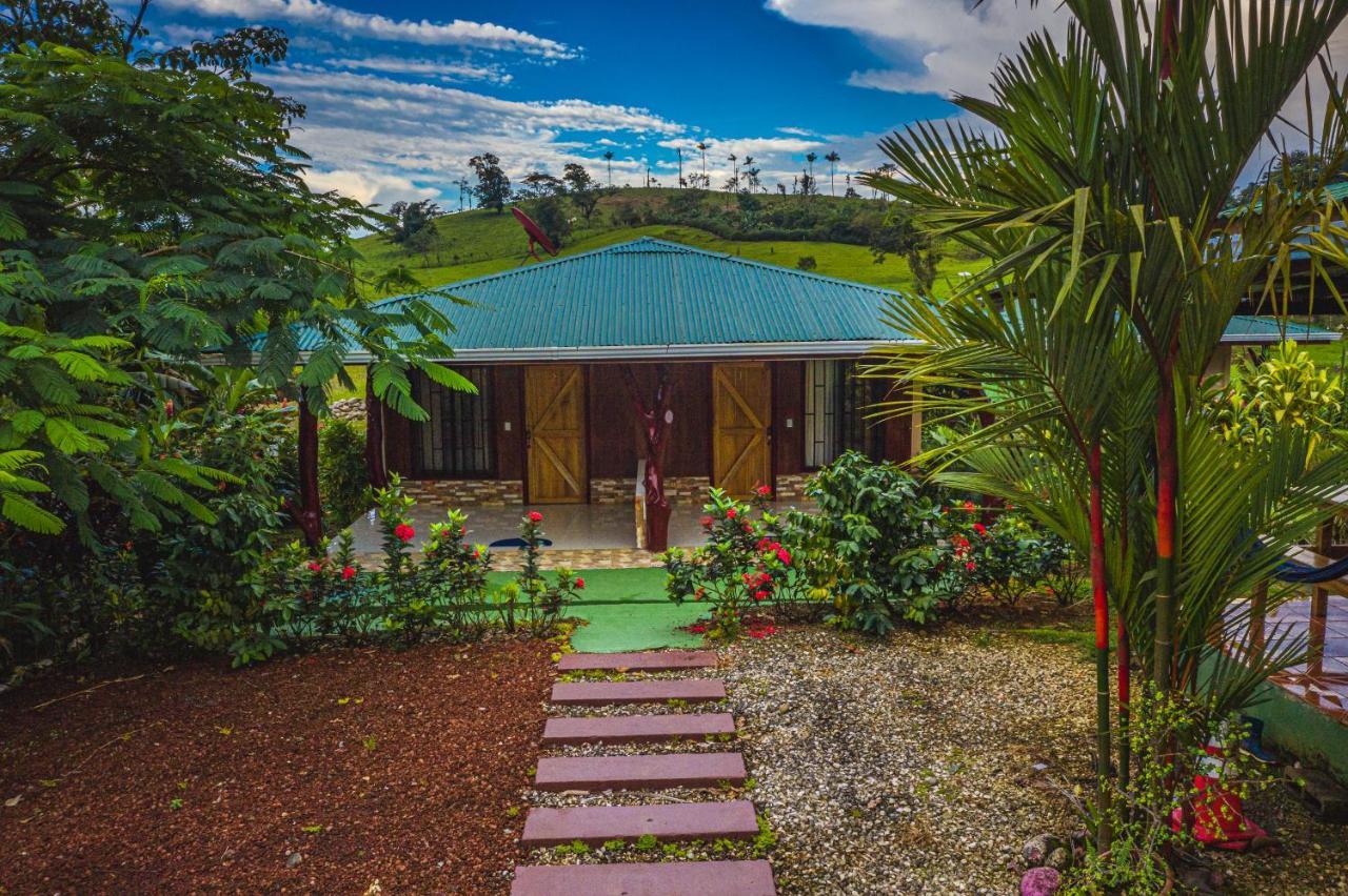 Rio Celeste Springs Blue *