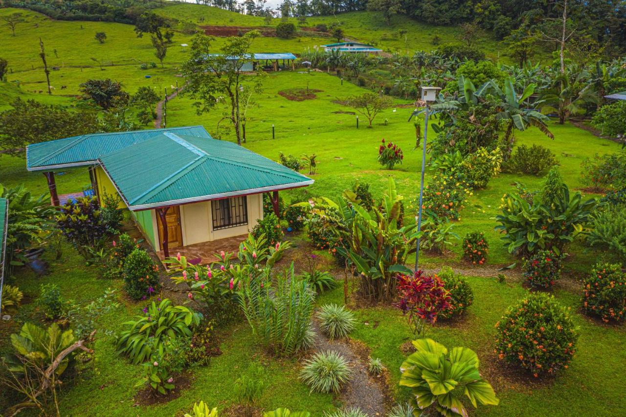 Lodge Rio Celeste Springs Blue *